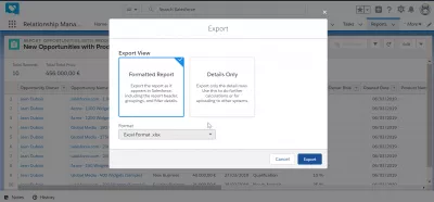 Si mund të eksportoj të dhënat nga SalesForce për të excel? : Opsionet e shikimit të eksportit formatohen vetëm në raport dhe në detaje