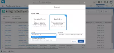 Как мога да експортирам данни от SalesForce за Excel? : Експортиране на формат за избиране между Excel и разделяне със запетая