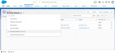 How to use SalesForce Lightning? : Contacts application