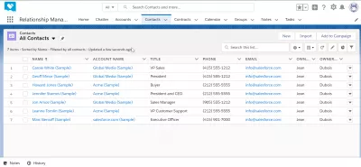 How to use SalesForce? : SalesForce interface example: contacts module