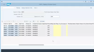 SAP S/4HANA profit center table CEPC : Fields of the CEPC table displayed in SE16N