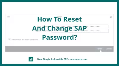 Comment Réinitialiser Et Changer Le Mot De Passe SAP? : Formulaire de changement de mot de passe SAP