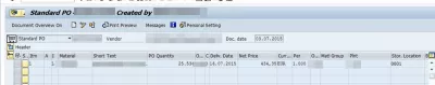 Not possible to determine any components SAP : Purchase order with new delivery date