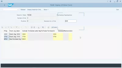 Purchasing organization in SAP explained: creation, assignment, tables : SAP purchase organization table T024E