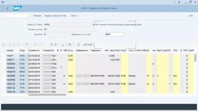 Paskaidrots iepirkumu organizācija SAP: izveidošana, piešķiršana, tabulas : SAP tabulas pārdevēja pirkšanas organizācija, kas parādīta SE16N