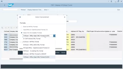 SAP Hoe Om Na Excel-Sigblad Te Eksporteer? : SAP spreadsheet uitvoer na Excel-formaat seleksie