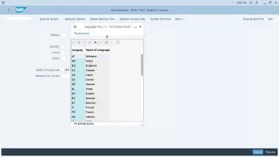 SAP Change Language Of The SAP Interface After Login : SAP language keys displayed in T002 entry help