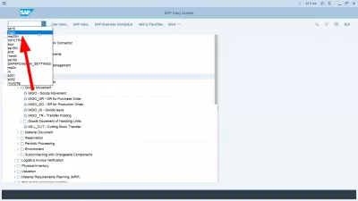 Display technical names in SAP : SAP technical names displayed in the SAP menu, and transaction MIGO accessible in the list of last transactions