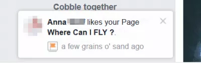 איך להזמין חברים שיעשו לייק לדף הפייסבוק שלך (או של מישהו אחר)? : חבר קיבל את הדף כמו הזמנה
