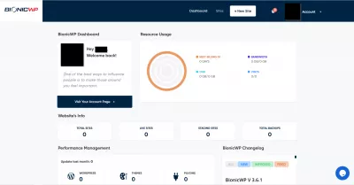 Revisión de BionicWP: Alojamiento de WordPress Rápido, confiable y totalmente administrado : Panel de control bionicwp