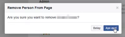 How To Change FaceBook Page Owner? : Confirm removing former administrator 