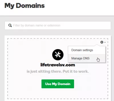 How to redirect Godaddy domain to another website : Manage DNS of my domain names