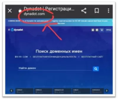 Как выбрать имя домена? : строка доменного имени на Dynadot.com