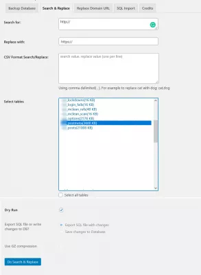 How To Fix Mixed Content Warning In Wordpress In Easy Steps : WordPress Search and Replace plugin usage