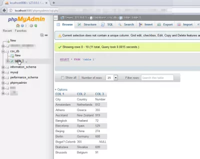 How to import data from Excel to mySQL using PHPMyAdmin : Database display 
