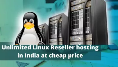 Avantages de l'hébergement revendeur Linux illimité en Inde : Avantages de l'hébergement revendeur Linux illimité en Inde