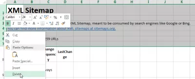 WordPress sitemap XML SEO svetainių nuorodų sąrašas : Ištrinti papildomas eilutes