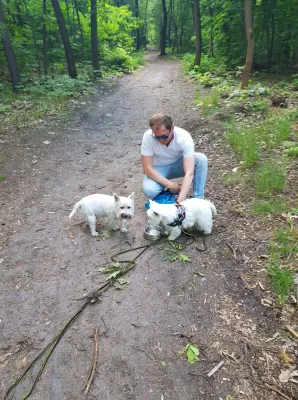 Are Westies Hypoallergenic? : Getting close to Westie dogs during a walk in the forest
