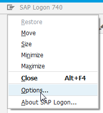 SAP Logon server list find and change the SAPlogon.ini : SAP Logon open Options... menu