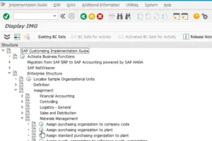 How to solve SAP Purchasing organization XX not responsible for plant YY : Purchasing organization to plant assignment in SPRO
