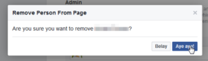 Facebook Page - how to change the Page owner : Confirm removing former administrator