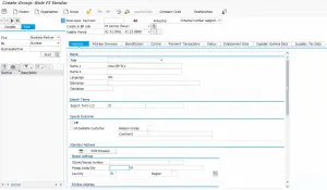 SAP S/4 HANA ECC6.0 Create a Business partner in new BP transaction : Enter partner general data