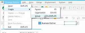 SAP S/4 HANA ECC6.0 Create a Business partner in new BP transaction : Select the business partner type to create