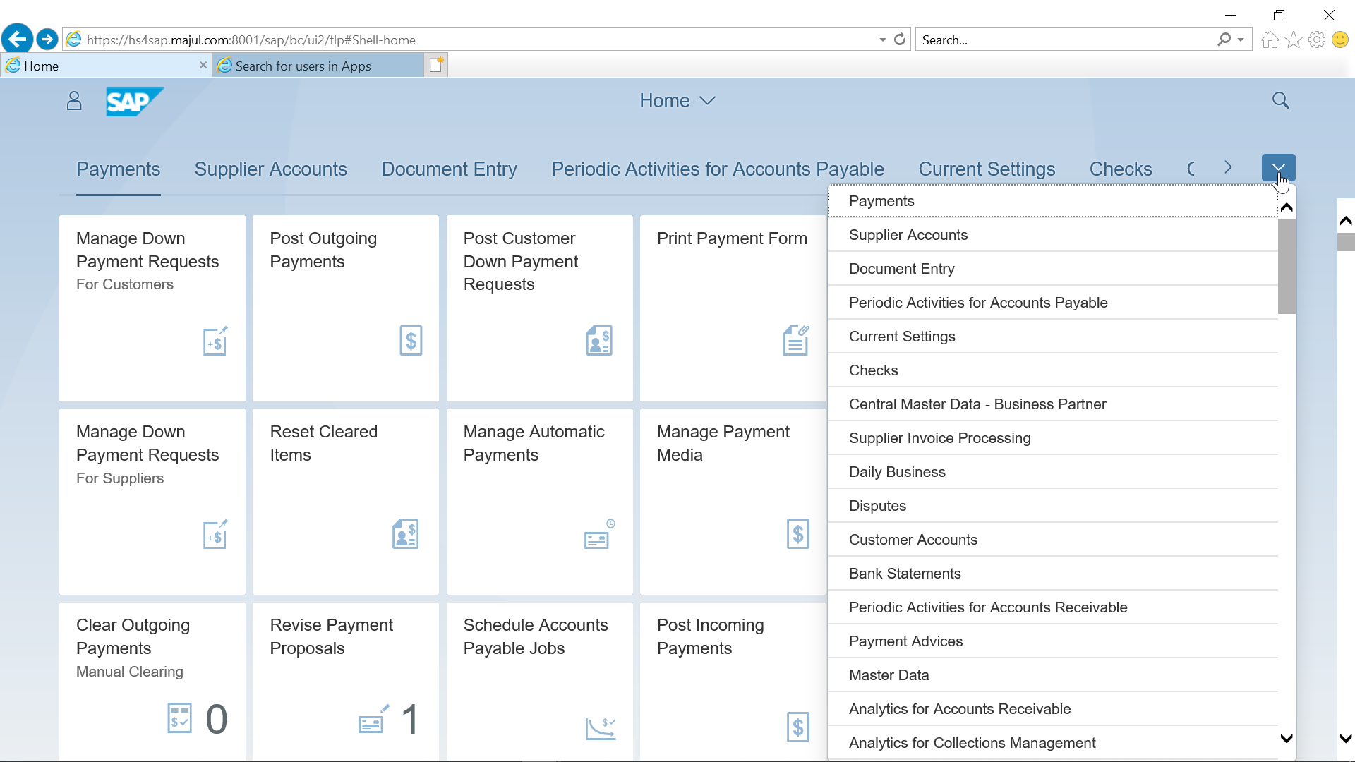 How to use the SAP S4 HANA FIORI interface?