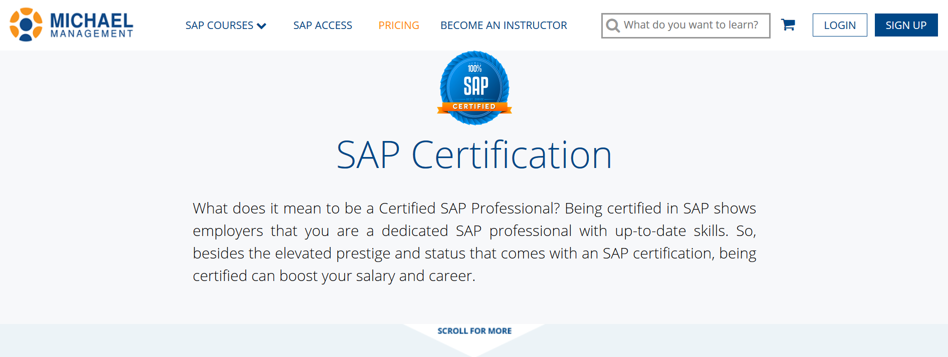 How to get an SAP professional certification online?